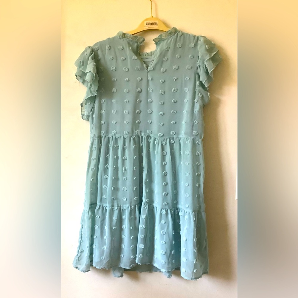 Kelsey Chiffon Mini Swiss Dot Dress - Picture 3 of 4